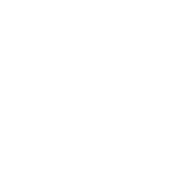 Flights